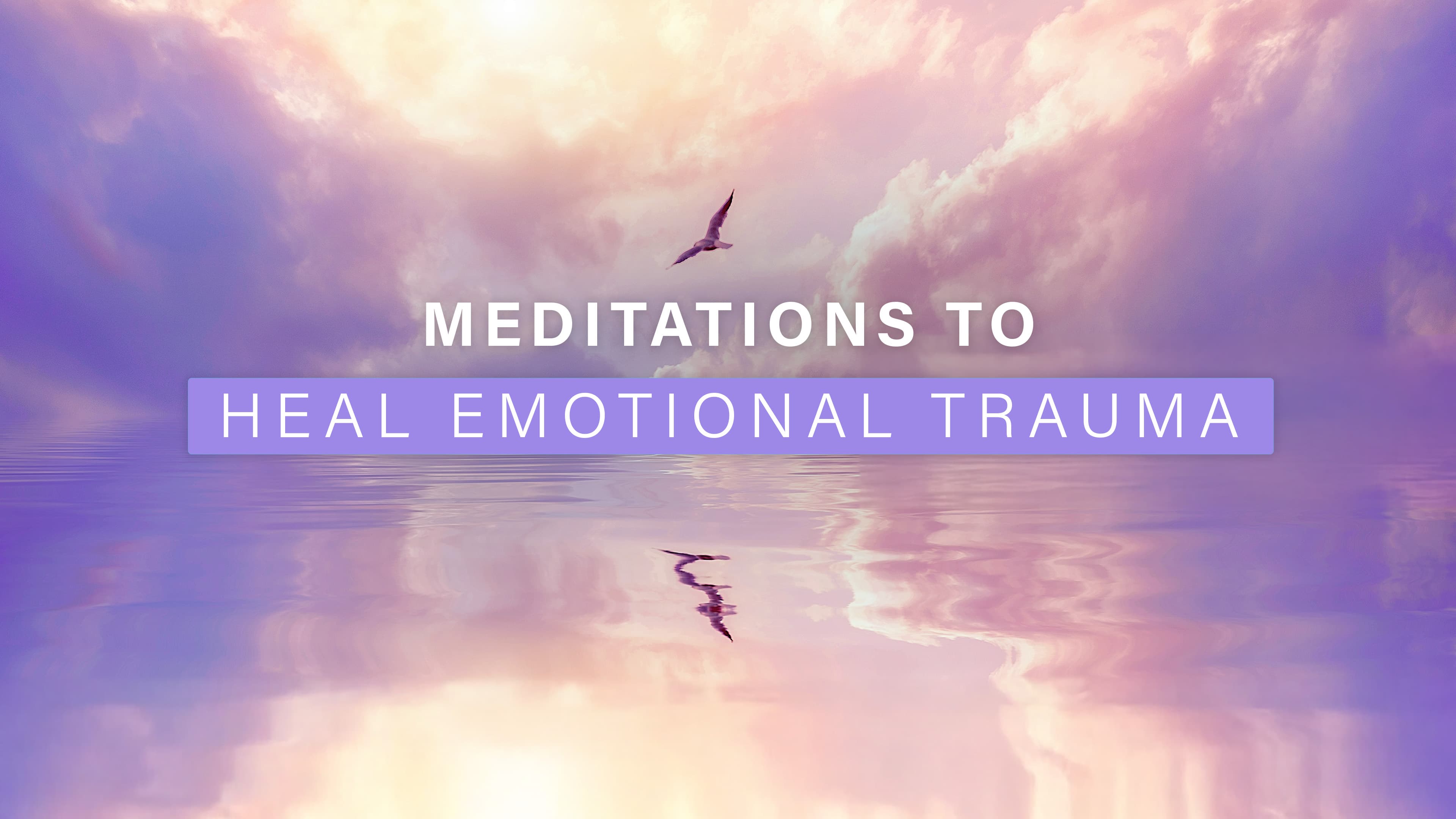 Healing Trauma Through the Body