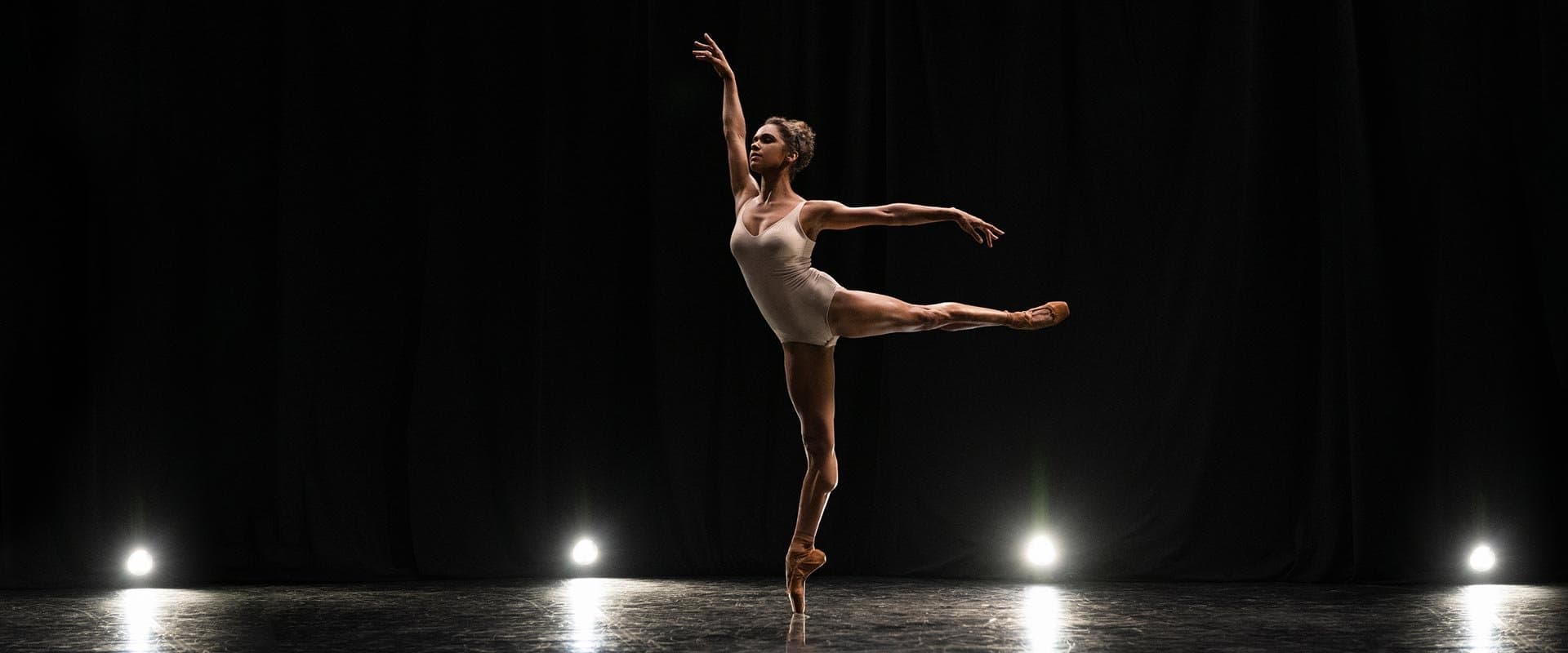 Ballet Technique and Artistry